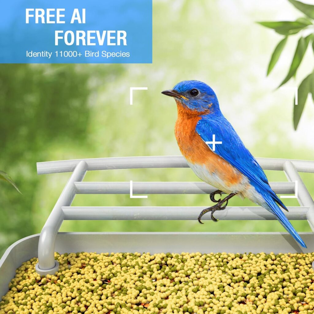 isYoung Smart Bird Feeder with Camera, Free AI Forever, Identify Bird Species, Wireless Connection Bird Camera with Solar Panel, Auto Capture Notify, Ideal Gifts for Mom and Bird Lovers